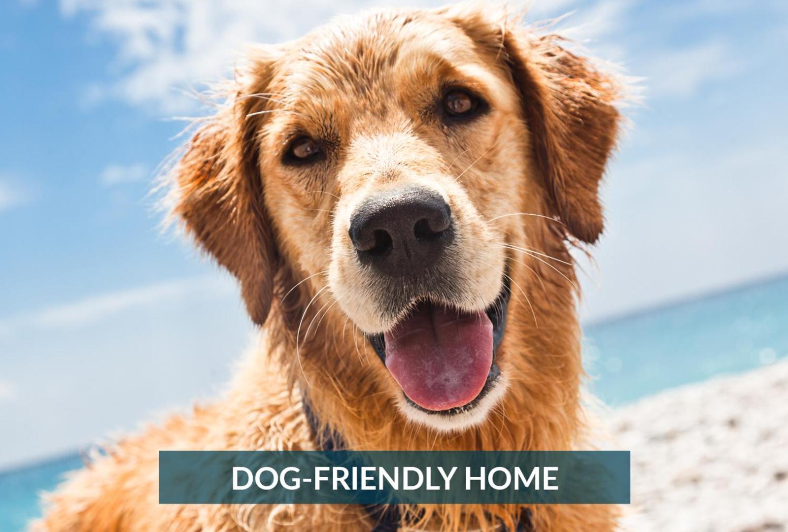 קיל דוויל הילס 5508 Southern Comfort Dog Friendly Shared Pool מראה חיצוני תמונה